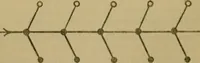 An illustration from Body and mind; a history and a defence of animism (1920)