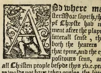 An illustration from A boke made by Iohn Fryth prysoner in the Tower of London : answerynge vnto M. Mores letter, which he wrote agaynst the fyrste lytle treatyse that Iohn Fryth made concernynge the sacramente of the body and bloode of Christ : vnto whiche boke are added in the ende the artycles of hys examynacyon before the byshoppes ... for whyche Iohn Fryth was condempned and after brente ... the fourth daye of Iuly. anno. 1533 (1546)