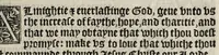 Picture 35 of 68 from The boke of common prayer and administracion of the sacramentes and other rites and ceremonies in the Churche of Englande (1552), leaf 195