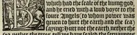 Picture 55 of 68 from The boke of common prayer and administracion of the sacramentes and other rites and ceremonies in the Churche of Englande (1552), leaf 248