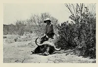 An illustration from The bonds of Africa : impressions of travel and sport from Cape Town to Cairo, 1902-1912 (1913)