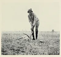 An illustration from The bonds of Africa : impressions of travel and sport from Cape Town to Cairo, 1902-1912 (1913)