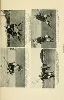 Picture 7 of 7 from The book of athletics (1922), leaf 577