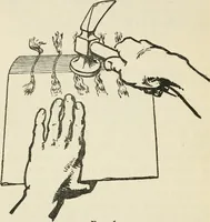 An illustration from Bookbinding, and the care of books : a text-book for bookbinders and librarians (1911)