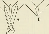 An illustration from Bookbinding, and the care of books : a text-book for bookbinders and librarians (1911)