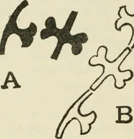 An illustration from Bookbinding, and the care of books : a text-book for bookbinders and librarians (1911)