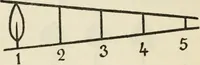 An illustration from Bookbinding, and the care of books : a text-book for bookbinders and librarians (1911)