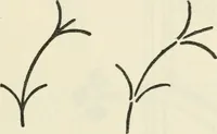 An illustration from Bookbinding, and the care of books : a text-book for bookbinders and librarians (1911)