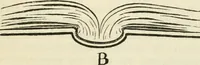 An illustration from Bookbinding, and the care of books : a text-book for bookbinders and librarians (1911)