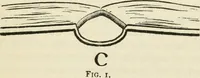 Picture 4 of 98 from Bookbinding, and the care of books : a text-book for bookbinders and librarians (1911), leaf 28