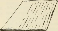 An illustration from Bookbinding, and the care of books : a text-book for bookbinders and librarians (1911)