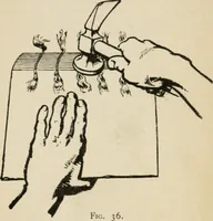 An illustration from Bookbinding, and the care of books; a handbook for amateurs, bookbinders & librarians (1901)