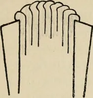 An illustration from Bookbinding, and the care of books; a handbook for amateurs, bookbinders & librarians (1901)