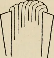 An illustration from Bookbinding, and the care of books; a handbook for amateurs, bookbinders & librarians (1901)