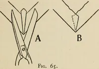 An illustration from Bookbinding, and the care of books; a handbook for amateurs, bookbinders & librarians (1901)