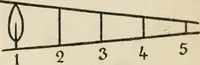 An illustration from Bookbinding, and the care of books; a handbook for amateurs, bookbinders & librarians (1901)