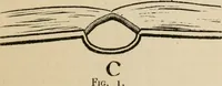 An illustration from Bookbinding, and the care of books; a handbook for amateurs, bookbinders & librarians (1901)