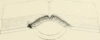 An illustration from Bookbinding and its auxiliary branches (1914)