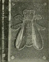 An illustration from Bookbindings old and new; notes of a book-lover, with an account of the Grolier Club of New York; (1895)