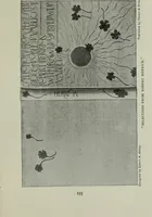 Picture 36 of 68 from Bookbindings old and new : notes of a book-lover, with account of the Grolier club of New York (1896), leaf 214
