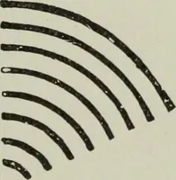 An illustration from Bookbindings old and new : notes of a book-lover, with account of the Grolier club of New York (1896)