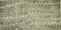 An illustration from Bookbinding, with numerous engravings and diagrams (1907)