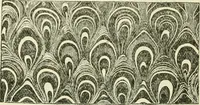 An illustration from Bookbinding, with numerous engravings and diagrams (1907)