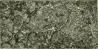 An illustration from Bookbinding, with numerous engravings and diagrams (1907)