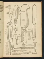 An illustration from A booke of the arte and maner how to plant and graffe all sortes of trees, how to set stones, and sowe pepins, to make wylde trees to graffe on, as also remedies and medicines : with divers other newe practises by one of the Abbey of Saint Vincent in Fraunce practised with his owne handes, deuided into seauen chapters, as hereafter more playnely shall appeare, wyth an addition in the ende of this boke, of certayne Dutch practises (1575)
