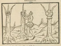 An illustration from A booke of the arte and maner how to plant and graffe all sortes of trees, how to set stones, and sowe pepins, to make wylde trees to graffe on, as also remedies and medicines : with divers other newe practises by one of the Abbey of Saint Vincent in Fraunce practised with his owne handes, deuided into seauen chapters, as hereafter more playnely shall appeare, wyth an addition in the ende of this boke, of certayne Dutch practises (1575)