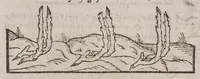 Picture 8 of 9 from A booke of the art and maner, howe to plante and graffe all sortes of trees : how to set stones and sowe pepins, to make wilde trees to graffe on, as also remedies and medicines. With diuers other newe practises (1582), leaf 104