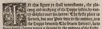 An illustration from A booke of the art and maner, howe to plante and graffe all sortes of trees : how to set stones and sowe pepins, to make wilde trees to graffe on, as also remedies and medicines. With diuers other newe practises (1582)