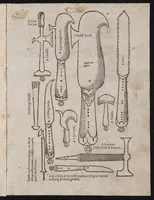 An illustration from A booke of the art and maner, howe to plante and graffe all sortes of trees : how to set stones and sowe pepins, to make wilde trees to graffe on, as also remedies and medicines. With diuers other newe practises (1582)