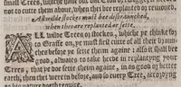 An illustration from A booke of the art and maner, howe to plante and graffe all sortes of trees : how to set stones and sowe pepins, to make wilde trees to graffe on, as also remedies and medicines. With diuers other newe practises (1582)