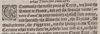 Picture 5 of 9 from A booke of the art and maner, howe to plante and graffe all sortes of trees : how to set stones and sowe pepins, to make wilde trees to graffe on, as also remedies and medicines. With diuers other newe practises (1582), leaf 67