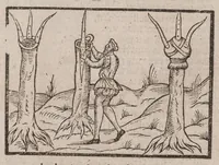 Picture 2 of 9 from A booke of the art and maner, howe to plante and graffe all sortes of trees : how to set stones and sowe pepins, to make wilde trees to graffe on, as also remedies and medicines. With diuers other newe practises (1582), leaf 7