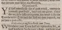 An illustration from A booke of the art and maner, howe to plante and graffe all sortes of trees : how to set stones and sowe pepins, to make wilde trees to graffe on, as also remedies and medicines. With diuers other newe practises (1582)