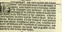 An illustration from The booke of the common prayer and administracion of the sacramentes : and other rites and ceremonies of the Churche : after the vse of the Churche of England (1549)