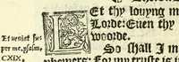 An illustration from The booke of the common prayer and administracion of the sacramentes : and other rites and ceremonies of the Churche : after the vse of the Churche of England (1549)