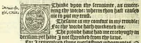 An illustration from The booke of the common prayer and administracion of the sacramentes : and other rites and ceremonies of the Churche : after the vse of the Churche of England (1549)