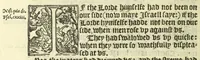 An illustration from The booke of the common prayer and administracion of the sacramentes : and other rites and ceremonies of the Churche : after the vse of the Churche of England (1549)
