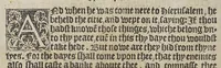 An illustration from The booke of the common prayer and administracion of the sacramentes, and other rites and ceremonies of the churche: after the vse of the Churche of England. (1549)