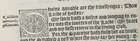 An illustration from The booke of the common prayer and administracion of the sacramentes, and other rites and ceremonies of the churche: after the vse of the Churche of England. (1549)