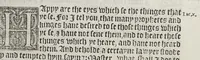An illustration from The booke of the common prayer and administracion of the sacramentes, and other rites and ceremonies of the churche: after the vse of the Churche of England. (1549)