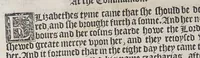 An illustration from The booke of the common prayer and administracion of the sacramentes, and other rites and ceremonies of the churche: after the vse of the Churche of England. (1549)