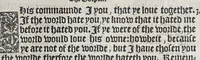 An illustration from The booke of the common prayer and administracion of the sacramentes, and other rites and ceremonies of the churche: after the vse of the Churche of England. (1549)