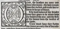 An illustration from The booke of common prayer and administration of the sacraments and other rites and ceremonies in the Church of England (1581)