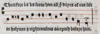 Picture 21 of 32 from The booke of common praier noted (1550), leaf 116