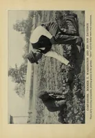 An illustration from Booker T. Washington, the master mind of a child of slavery; an appealing life story rivaling in its picturesque simplicity and power those recounted about the lives of Washington and Lincoln. A biographical tale destined to live in history and furnish an inspiration for present and future generations; a human interest story depicting the life achievements of a great leader of a rising race (1915)