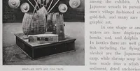 Picture 6 of 10 from The book of the fair; an historical and descriptive presentation of the world's science, art, and industry, as viewed through the Columbian Exposition at Chicago in 1893 .. (1895), leaf 202